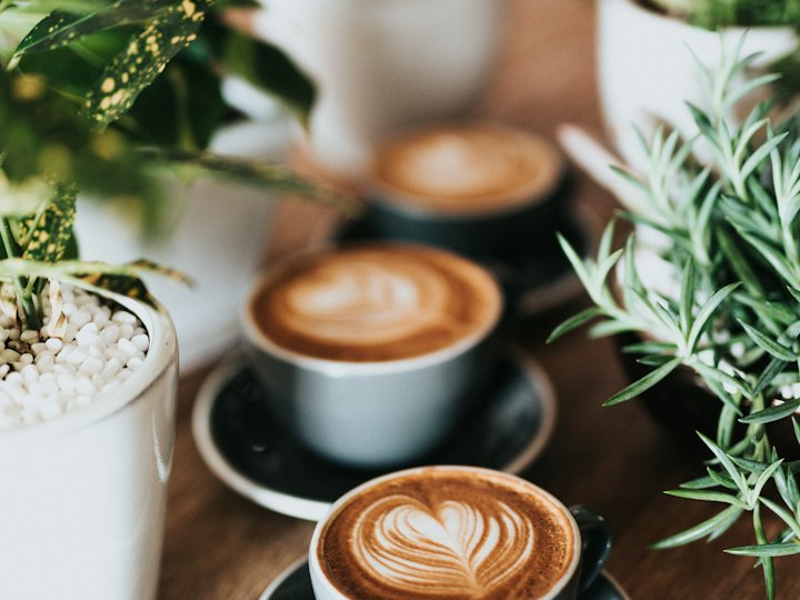 Flat whites with leaf latte art beside potted plants